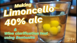 Making Limoncello amp Wine clarification test using Bentonite [upl. by Asiat267]