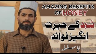 Amazing Benefits of Honey  Introduction video  Dr Abdul Wajid Shazli  UrduHindi [upl. by Tootsie]