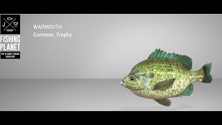 Fishing Planet  Quanchkin Lake  Trophy  Warmouth  Float [upl. by Anelrad384]