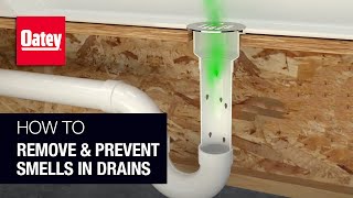 How to Remove and Prevent Smells in Drains [upl. by Wesa]