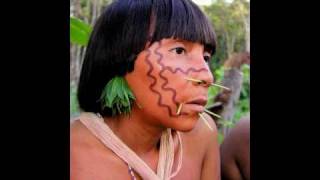 Tribes of the Amazon Rainforest  Yanomami Yekuana and Piaroa [upl. by Kynan]