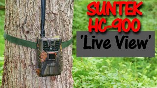 LIVE VIEW 4G Trail Camera SuntekCam HC900Pro Cellular Review [upl. by Majka]