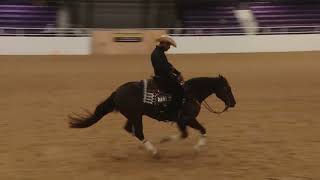 2024 Ranch Horse World Show Senior Reining Jorge Puente on Dual Reality [upl. by Sakovich]