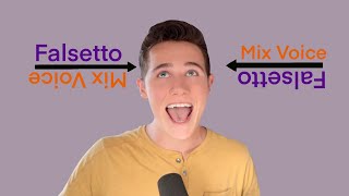 How To Sing In Mixed Voice The FALSETTO MIX [upl. by Sven452]