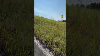 Biking on The Mickelson Trail South Dakota part 10 [upl. by Helali557]