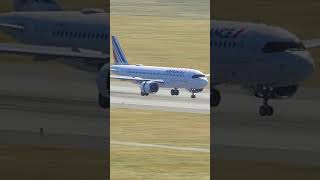 THE HARD LANDING OF AN AIRBUS A320 [upl. by Nrev]