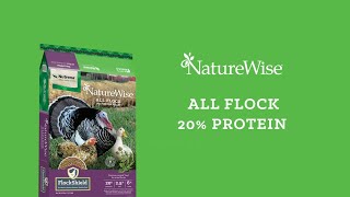 Nutrena NatureWise All Flock 20 Pelleted Poultry Feed [upl. by Ived]