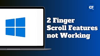 How to Fix 2 Finger Scroll Features not Working on Windows 10 or 11 [upl. by Yrevi244]