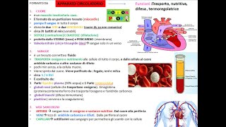 ❤ APPARATO CIRCOLATORIO Cuore sangue vasi sanguigni riassunto semplice e veloce [upl. by Tuttle]