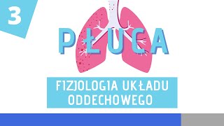 Fizjologia układu oddechowego cz 3  Regulacja oddychania [upl. by Teerprug392]