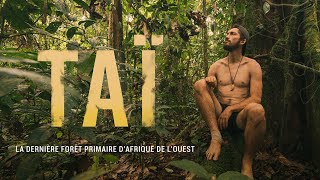 TAÏ  33 jours de Survie dans la dernière JUNGLE PRIMAIRE dAfrique de lOuest Le film [upl. by Noivad876]