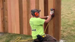 Build a Cedar Privacy Fence Part 3 – Install the Pickets [upl. by Hagep490]