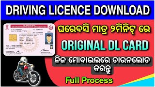 how to download dl online odisha  driving licence download  how to download DL  TECH ODIA [upl. by Aihcrop]