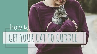 Making Cats more Cuddly Friendly and Affectionate  How to get your cat to love you [upl. by Yrreiht955]