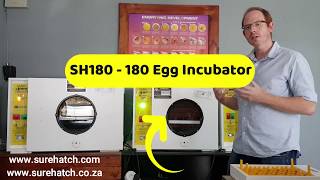 180 Egg Incubator and Hatcher Review  Surehatch SH180 [upl. by Heath]