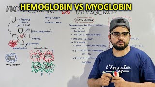 Hemoglobin and Myoglobin Structure composition similarities and differences [upl. by Roberta102]