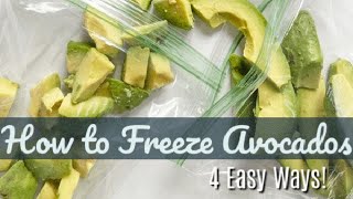 How to Freeze Avocado 4 Easy Ways [upl. by Eiliah]