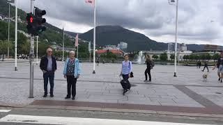 Bergen Norway Walk from city centre to the railway station [upl. by Hayyikaz]