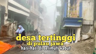 Penampakan desa tertinggi di pulau Jawa yang diselimuti kabut [upl. by Youngman113]