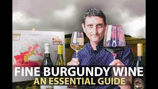 10Minute Guide to Burgundy  Fine Wines from Bourgogne Part1 [upl. by Ullyot]