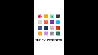 Introducing The Perkins CVI Protocol [upl. by Gardy257]