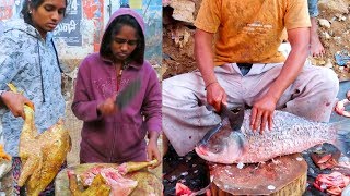 Incredible India  Largest Fish Market In Hyderabad  Processing Chicken Fish And Goat Fish Markets [upl. by Verdi]