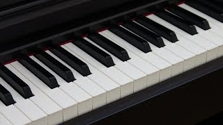 Blind Test Digital Piano Comparison Yamaha vs Casio vs Roland [upl. by Alysa]