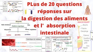 SVT 3Questionsréponses digestionabsorption intestinale [upl. by Akeimahs]