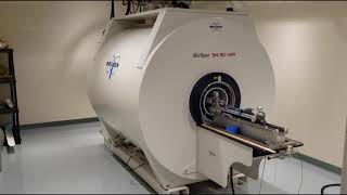 BIC 94 Tesla MRI scanner [upl. by Pizor]