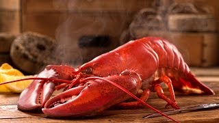 How To Correctly Cook Lobster [upl. by Eelirak]