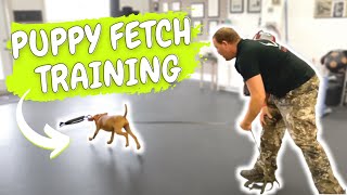 VIZSLA PUPPY TRAINING  Teach Fetch Using Toys and Food [upl. by Aneej]