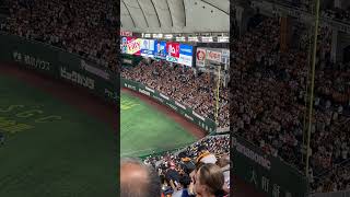 Tokyo Yomiuri Giants  Cheering Section [upl. by Nnylatsirk54]