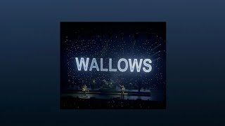 Wallows playlist [upl. by Thorstein]