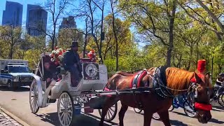 Best Horse Ride In New York City 🏙 Central Park Horse 🐎 Carriage Ride 2022 [upl. by Rapp]