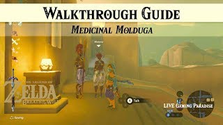 Breath of the Wild  Medicinal Molduga  Walkthrough Guide [upl. by Alexine552]