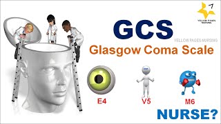 Glasgow Coma Scale Assessment GCS [upl. by Ahsinelg]