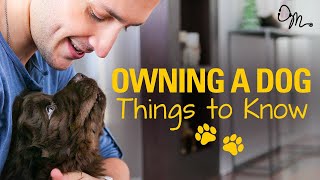 OWNING A DOG  Things to Know Before Getting a Puppy  Doctor Mike [upl. by Wylde343]