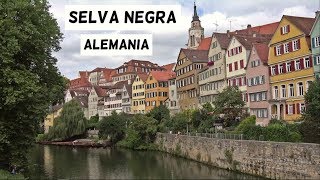 Selva Negra en Alemania en 5 minutos Una Región de Cuento y Naturaleza  Friburgo Triberg [upl. by Ynnaf807]