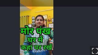 घर में मोर पंख कहाँ रखें peacock feather youtubeshortvideosyoutubeviralsvastu tipsshorts [upl. by Audra]