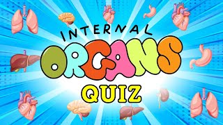 Human Organs Quiz for Kids  Internal Organs of the Human Body and Their Functions [upl. by Toscano]