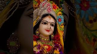 bhakti shortsyoutubeshorts radheradhe radhakrishna radheshyam radha [upl. by Caasi583]