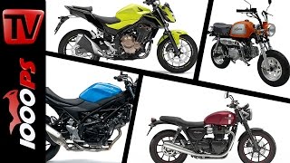 10 Motorräder mit niedriger Sitzhöhe 2016 [upl. by Tyika]