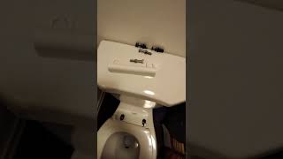 How to Tighten a Loose Fluent Toilet Seat [upl. by Buller]