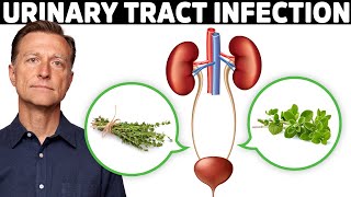 1 Best Remedy for a UTI Urinary Tract Infection [upl. by Seabrooke107]