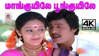 Maanguyile Poonguyile 4K Song Karagattakaran  மாங்குயிலே பூங்குயிலே  SPB S Janaki [upl. by Glennon50]