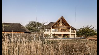 BUSHVELD GEM  Zebula [upl. by Zephan]