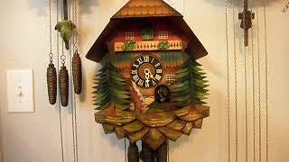 1 day musical cuckoo clock [upl. by North]