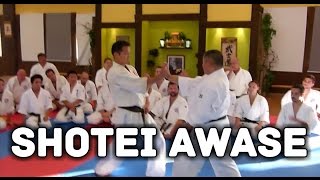 SHOTEI AWASE Aikido Shodokan [upl. by Awhsoj]