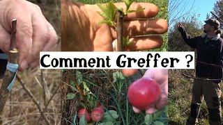 Comment greffer facilement les arbres fruitiers  mois par mois [upl. by Laemsi]