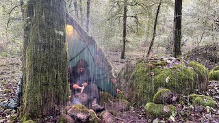 Camping in the rain forest  Shelter in a tent  ASMR [upl. by Alehs]